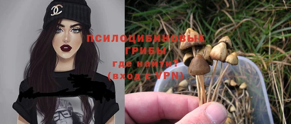 PSILOCYBIN Богданович